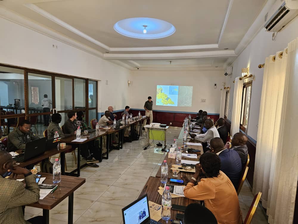 Les 8 et 9 mai 2025, African Parks a organisé deux ateliers permettant d'avancer sur la validation de plusieurs documents stratégiques. En parallèle les participants ont échangé sur la vision d'AP-RCA pour le développement du tourisme à l'échelle du paysage fonctionnel de Chinko