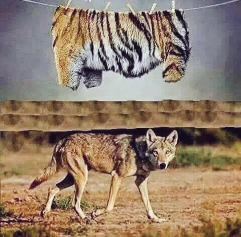 इतने दिनों से मैं यही तो कह रही थी..!

फिर भी बेनक़ाब होने में दस साल लग गए.

हालाँकि कुछ लोग अभी भी नहीं समझेंगे..!

दरअसल कुछ लोग कभी नहीं समझेंगे.