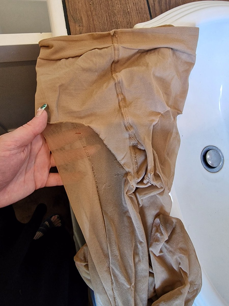 Cat in mini tweet media