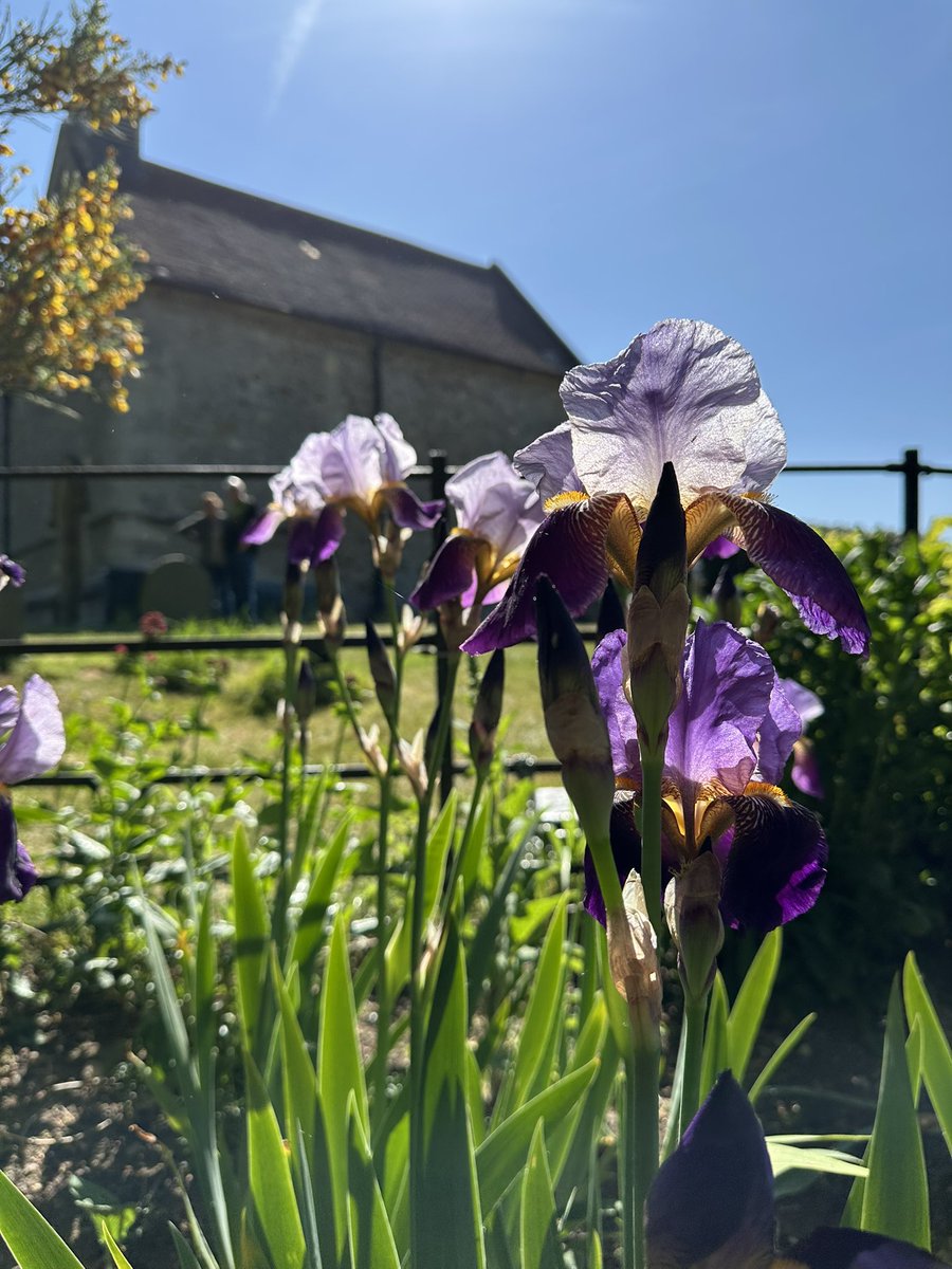 Rachael Hall tweet media