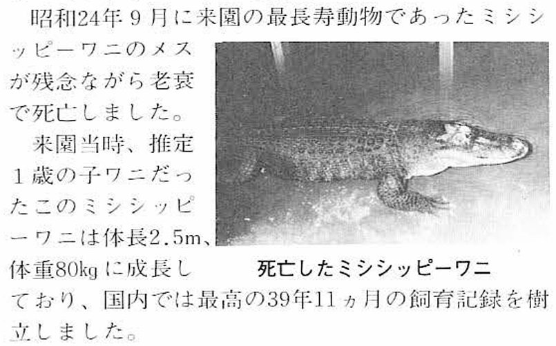 カリフォルニアアシカ「ジュンイチ（1987～2009）」八木山動物公園へ