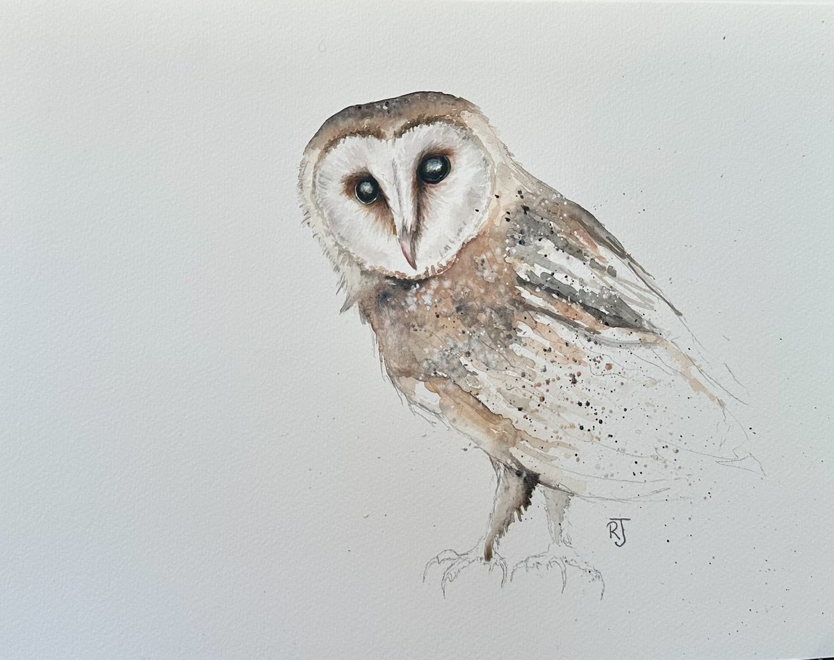 Time is limited. Sketches are rough, but I kind of like that! You know I find Owls tricky but I’m definitely improving!