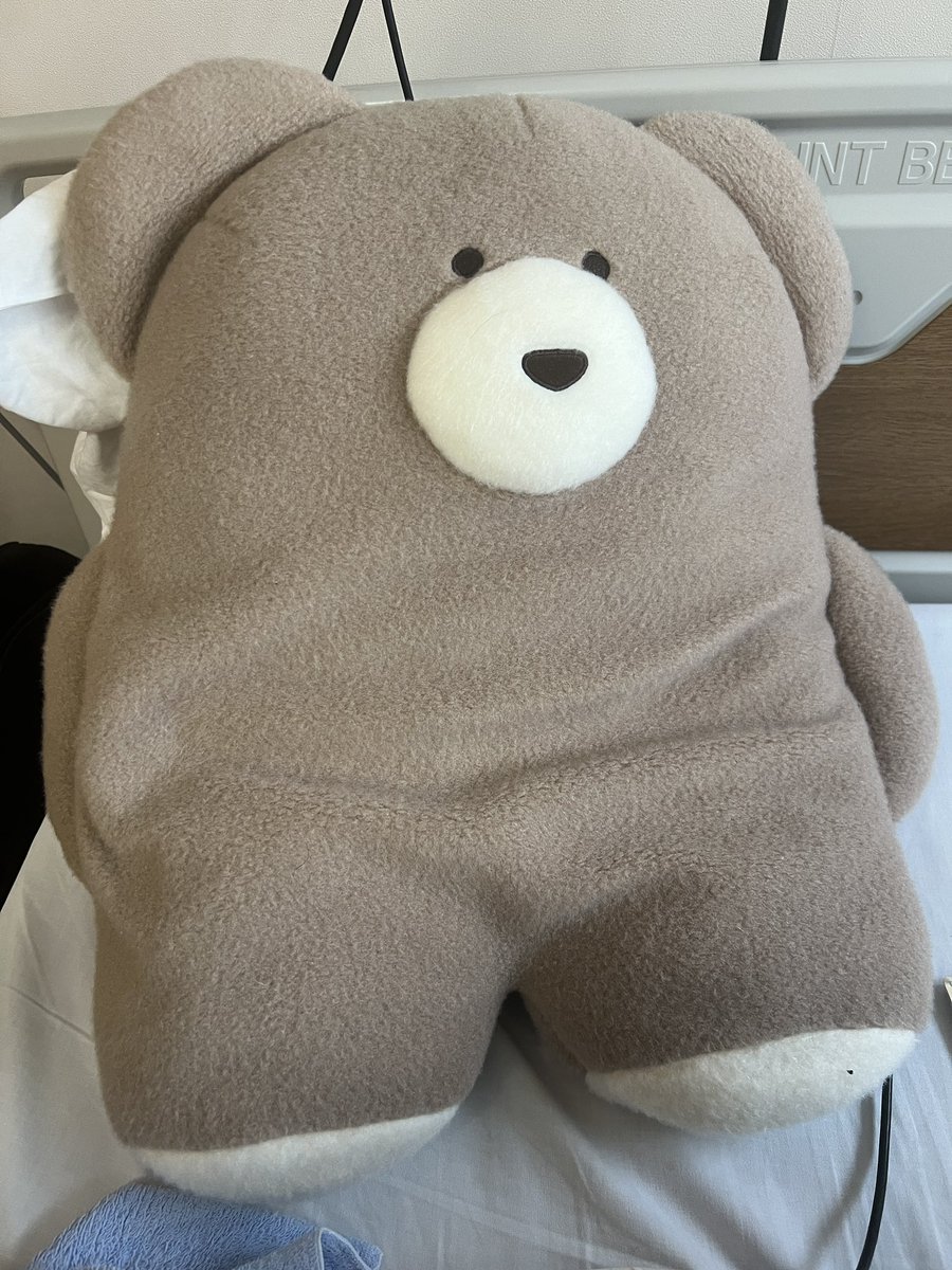 ベッドの枕が低く全然寝れないので娘に使ってないクッション持ってきて。って言ったらなんかクマ持ってきてくれて。

看護師さんに笑われる。
（なんでも良かったんですけど枕が低いんで）

家から持ってきてもらいました・・

長文が言えなくてお気に入り持ってきてもらったみたいになってる