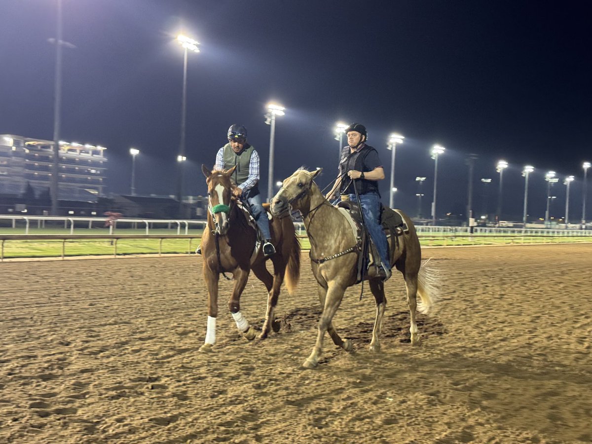 KyHBPA (@kyhbpa) on Twitter photo BC Stables' American Promise coming off track after jogging 2 miles at #ChurchillDowns in preparation for Sat's <a href="/PreaknessStakes/">Preakness Stakes</a> in #Baltimore. <a href="/ScottWykoffWBAL/">Scott Wykoff</a> <a href="/MDHorseRadio/">Maryland Horse Radio</a> <a href="/HorseRacingKK/">Kevin Kerstein</a> <a href="/CBredar/">caton bredar</a> <a href="/ColonialDowns/">Colonial Downs Racetrack</a> BC Stables' American Promise coming off track after jogging 2 miles at #ChurchillDowns in preparation for Sat's <a href="/PreaknessStakes/">Preakness Stakes</a> in #Baltimore. <a href="/ScottWykoffWBAL/">Scott Wykoff</a> <a href="/MDHorseRadio/">Maryland Horse Radio</a> <a href="/HorseRacingKK/">Kevin Kerstein</a> <a href="/CBredar/">caton bredar</a> <a href="/ColonialDowns/">Colonial Downs Racetrack</a>