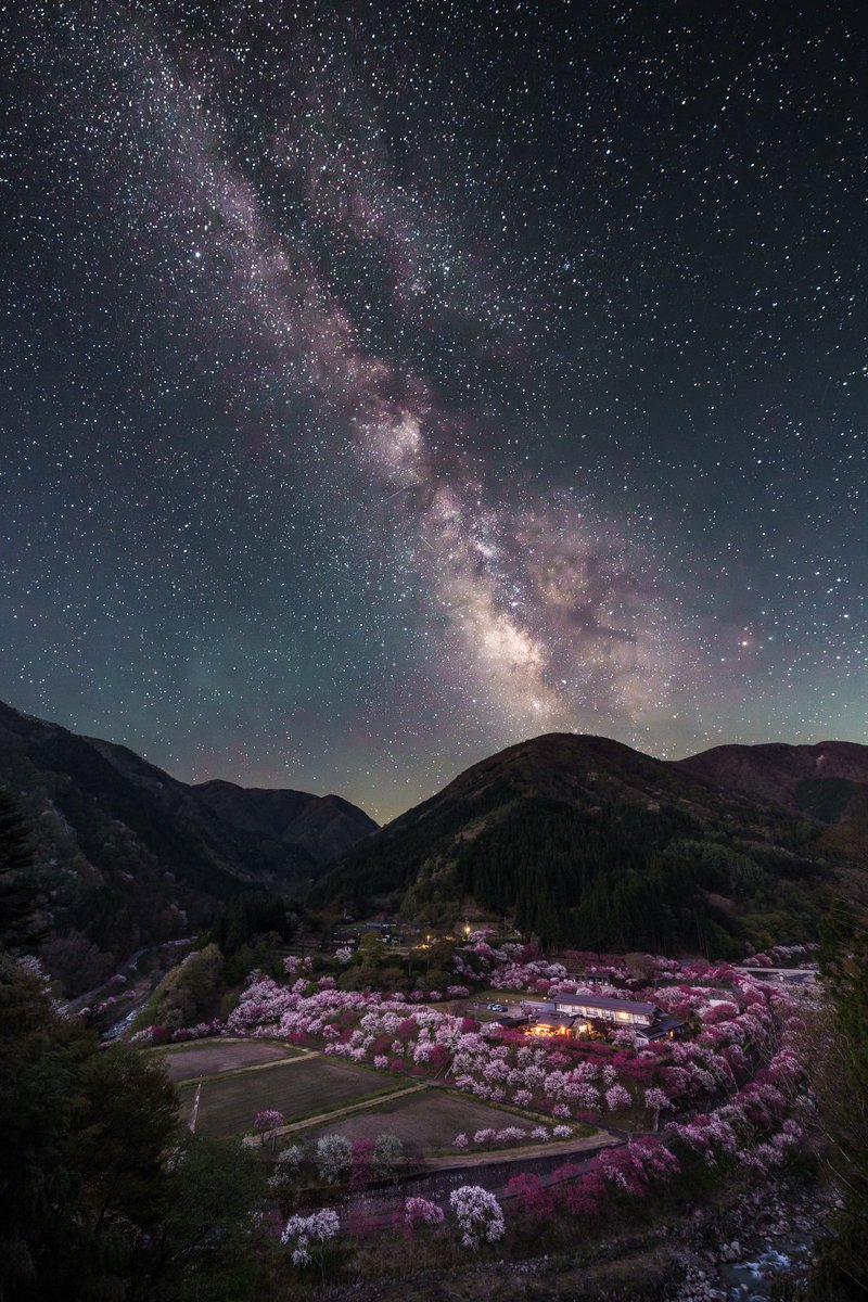 onotch_x's tweet image. 花桃の里の空に昇る天の川が美しかったです🌸🌌✨