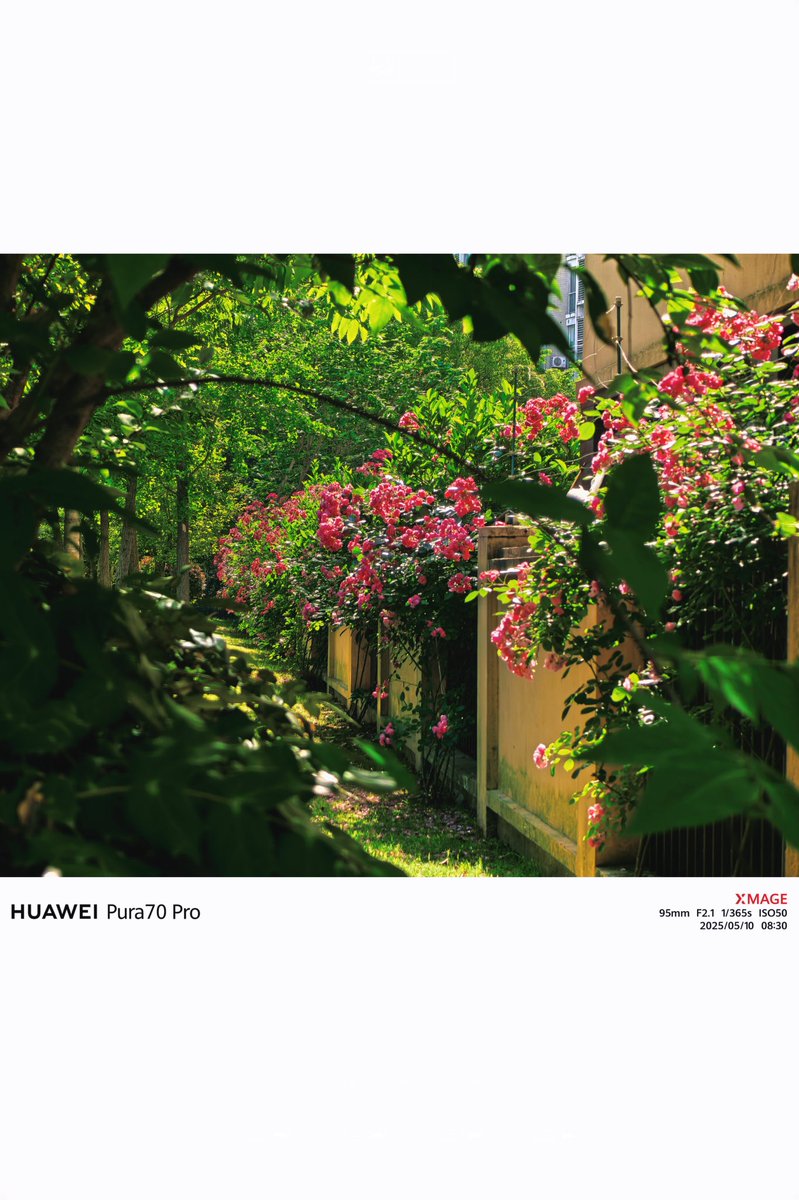 bear.chang (@beat_chang) on Twitter photo 