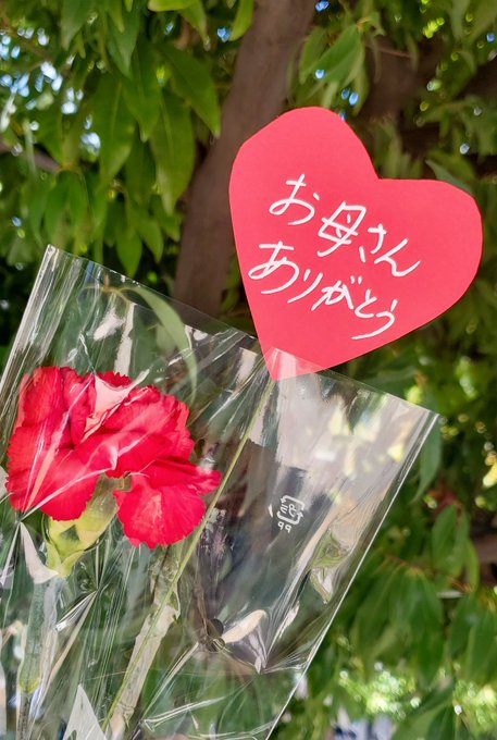 星野るなのTwitter画像25