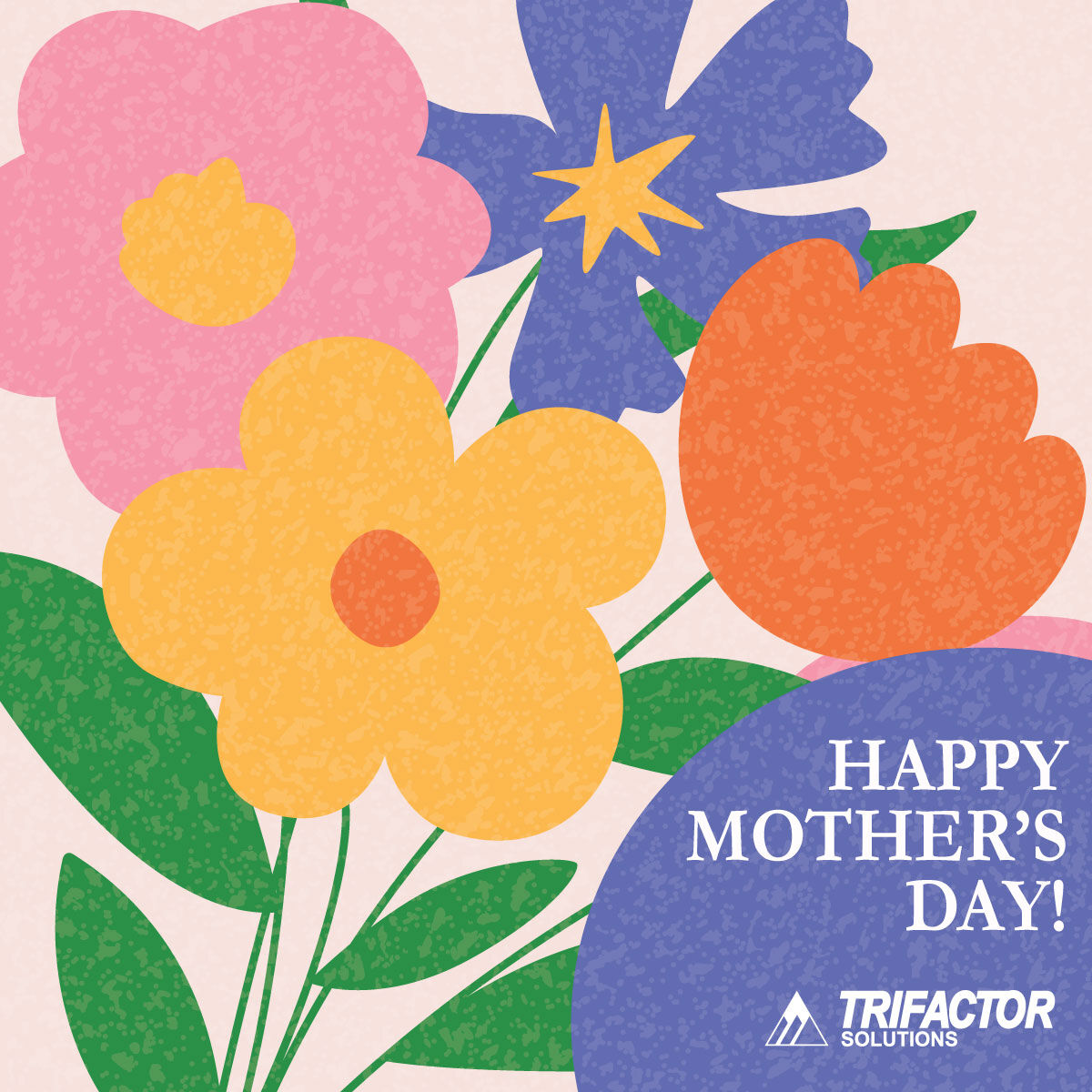 TriFactorLLC's tweet photo. Happy Mother's Day from TriFactor Solutions!

#MothersDay https://t.co/UCHsQskTWe
