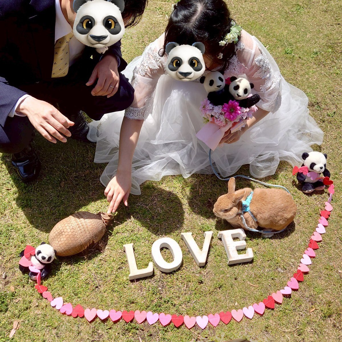 HbA1cChildLink's tweet photo. 挙式前にみんなが旅立ってしまうということで、急遽多くの人の力を借りてフォトウェディングが実施出来ました😭
一生の思い出になりました……🐼💖
本当にありがとうございました。

パンダや動物が好きという共通点で出会えた私たちにとってここは一生聖地です✨
 #アドベンチャーワールド https://t.co/kIqFz1x0JV