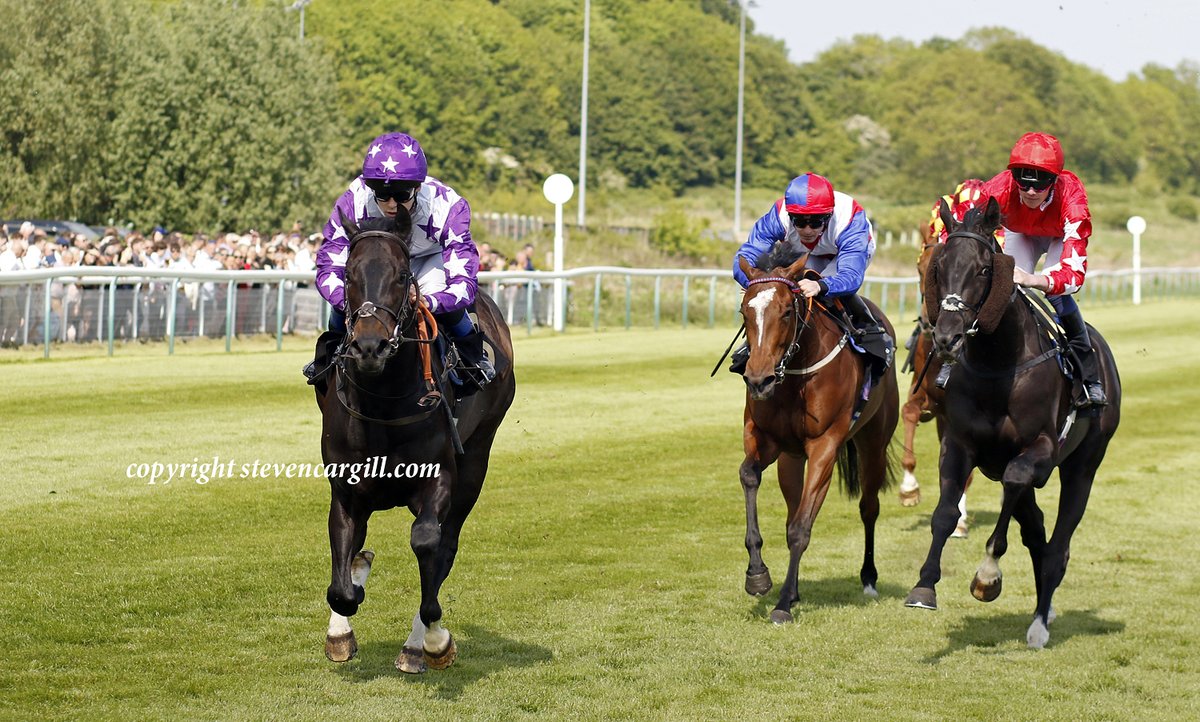 Steven_Cargill's tweet photo. 2nd win for gelding MINI MAC in 8f 3yo handicap @NottsRacecourse yesterday for @YeomanstownStud Dark Angel and trainer Christine Dunnett. https://t.co/lCri8d6uTJ