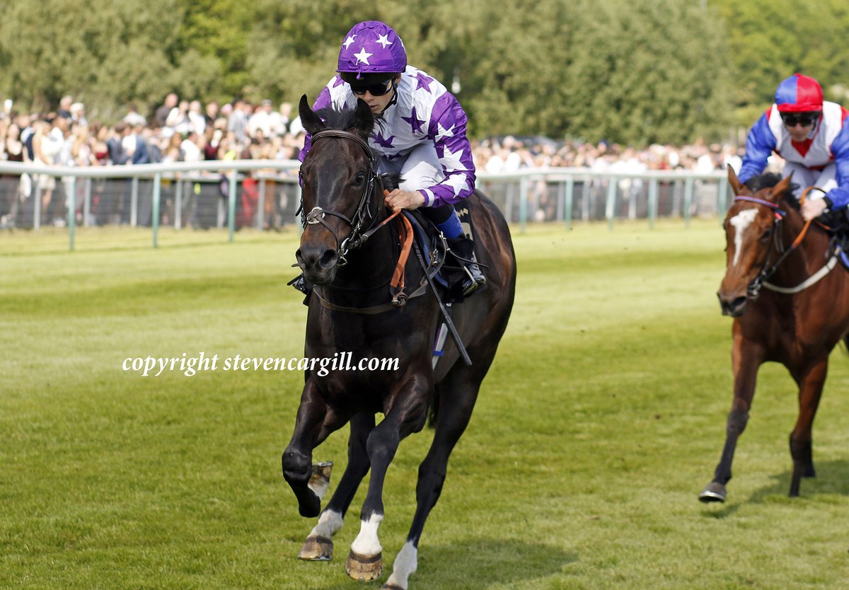 Steven_Cargill's tweet photo. 2nd win for gelding MINI MAC in 8f 3yo handicap @NottsRacecourse yesterday for @YeomanstownStud Dark Angel and trainer Christine Dunnett. https://t.co/lCri8d6uTJ
