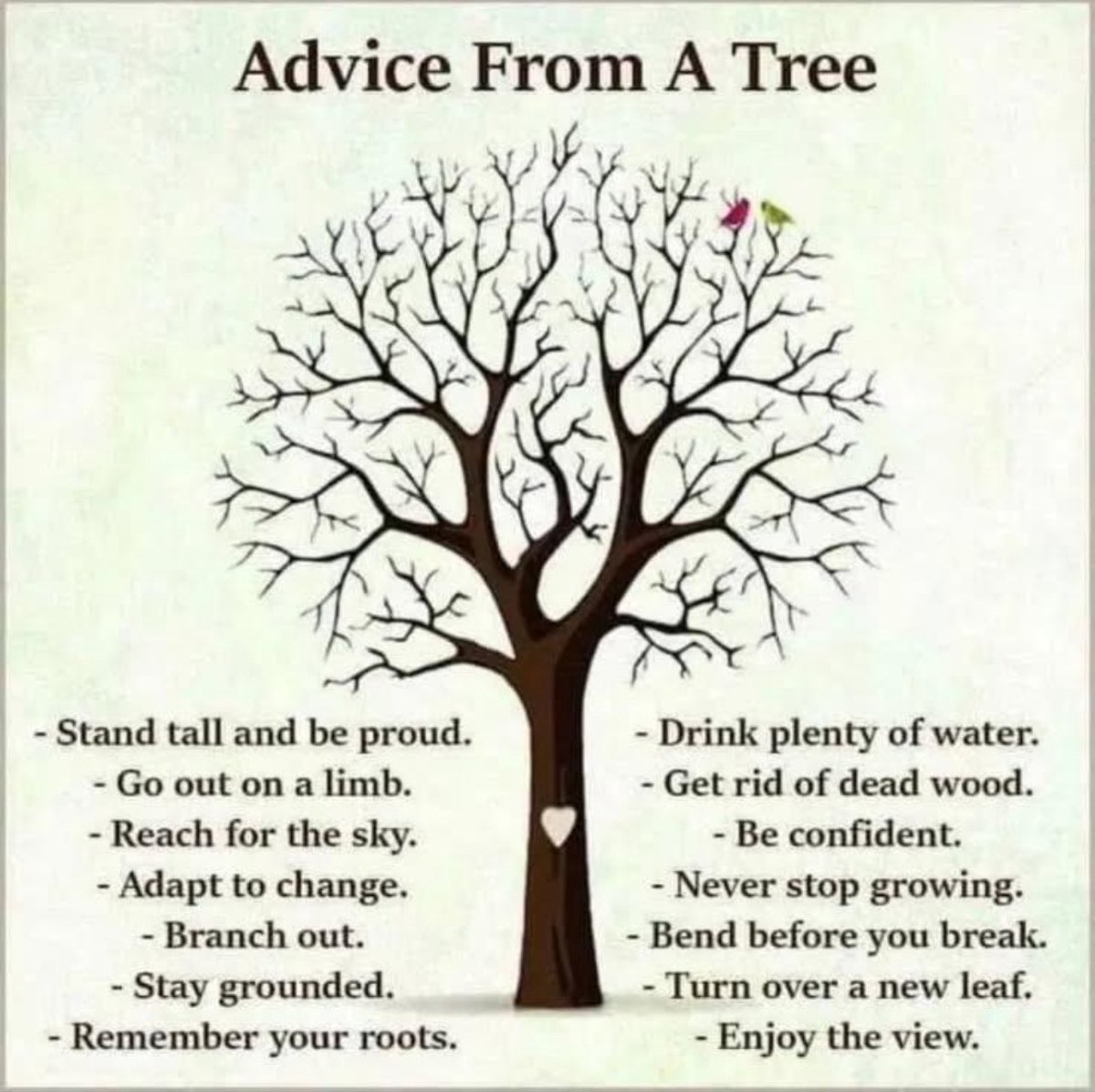 From one Tri to another…