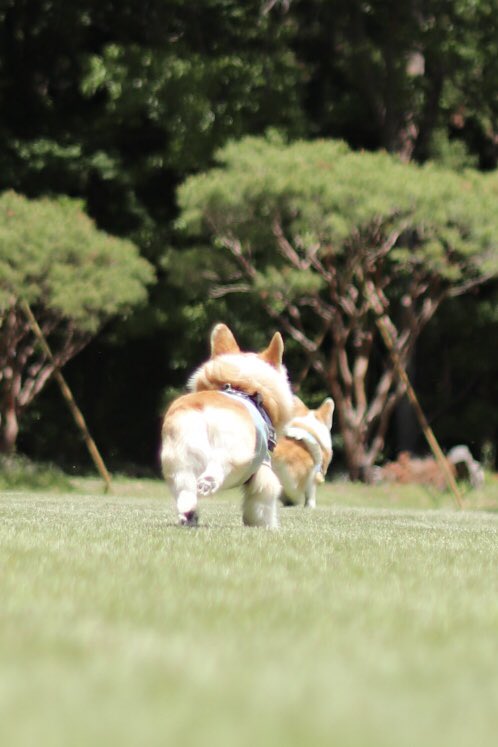 cogicogiatorin's tweet photo. ファイトぉ〜‼️いっぱぁ〜つ💪 https://t.co/E22JhHP3ZD
