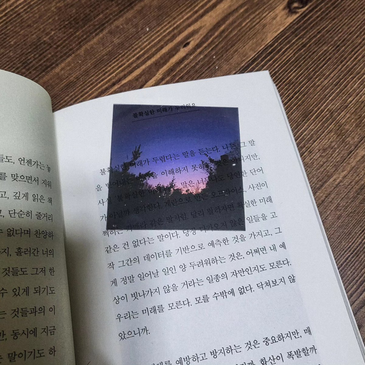 take_a_brush's tweet photo. 벚꽃포카 추가가 됐습니다
많관부.. 서비스도 많이 드려요!!!!!!! 
https://t.co/p6sWGBYkuE https://t.co/qSE3dWBM5Q