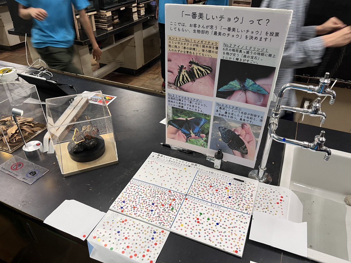 麻布学園生物部昆虫グループ tweet media
