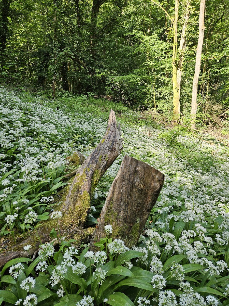 ArtistRob's tweet image. 