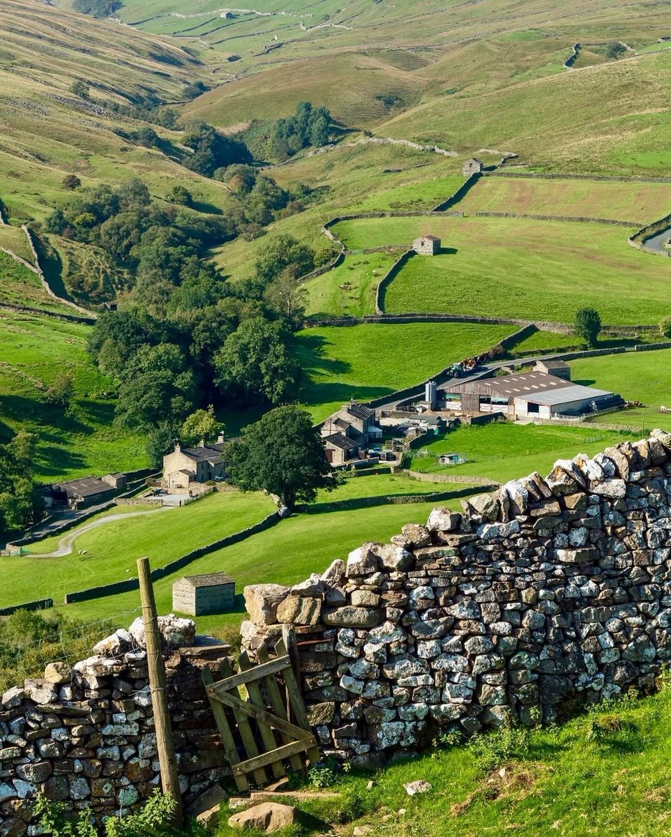 North Yorkshire tweet media