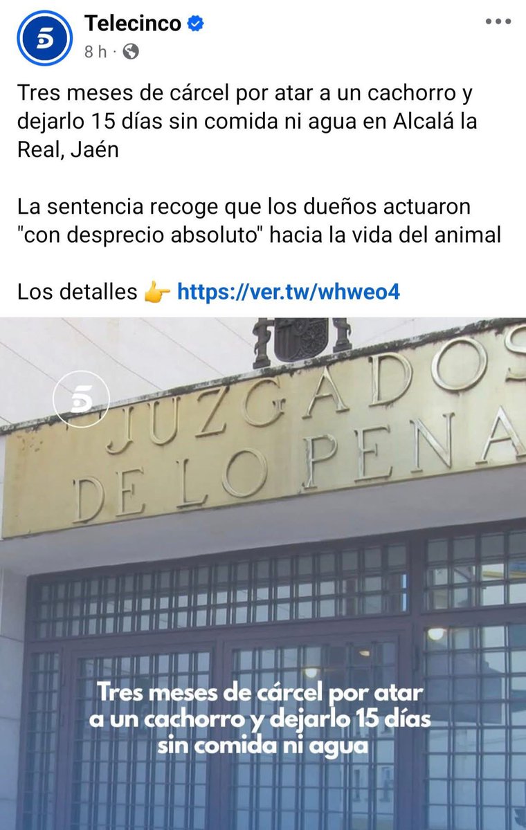Alcala Facts tweet media