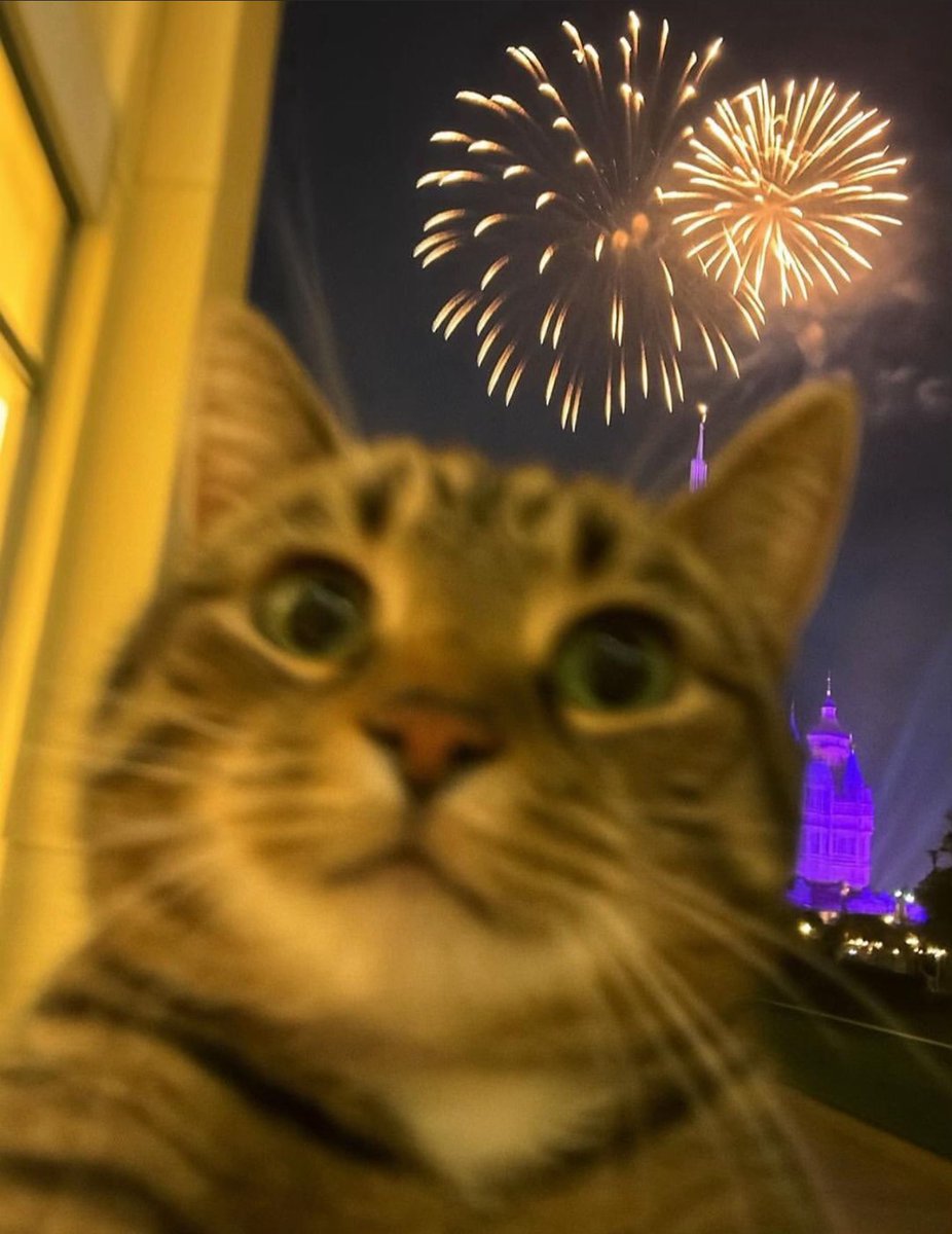sad cat gamble (@sadcat_gamble) on Twitter photo will send 5 sol to my 3 x subscriber ! 
Glad to see y’all here . Left your sol wallet and repost this , sad cat now joined  x 
Yeeeeeeaaaaa ! will send 5 sol to my 3 x subscriber ! 
Glad to see y’all here . Left your sol wallet and repost this , sad cat now joined  x 
Yeeeeeeaaaaa !