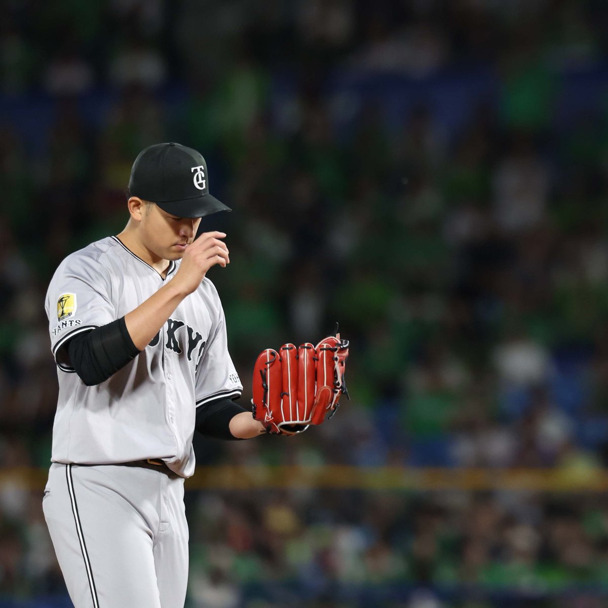 巨人軍】マギー元選手実使用スパイク|NB 28cm【読売ジャイアンツ