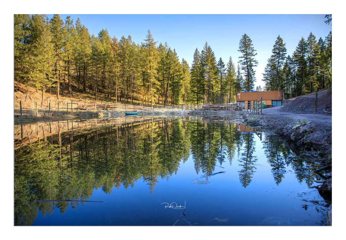 RudiDueck's tweet image. Stillness Captured in British Columbia
I took this shot at my buddy’s pond in BC—no wind, just perfect calm. The water turned into a mirror, reflecting the trees and contain
Explore more: rudidueck.com
#PhotographerRudiDueck #NaturePhotography #PondReflection #BCCanada