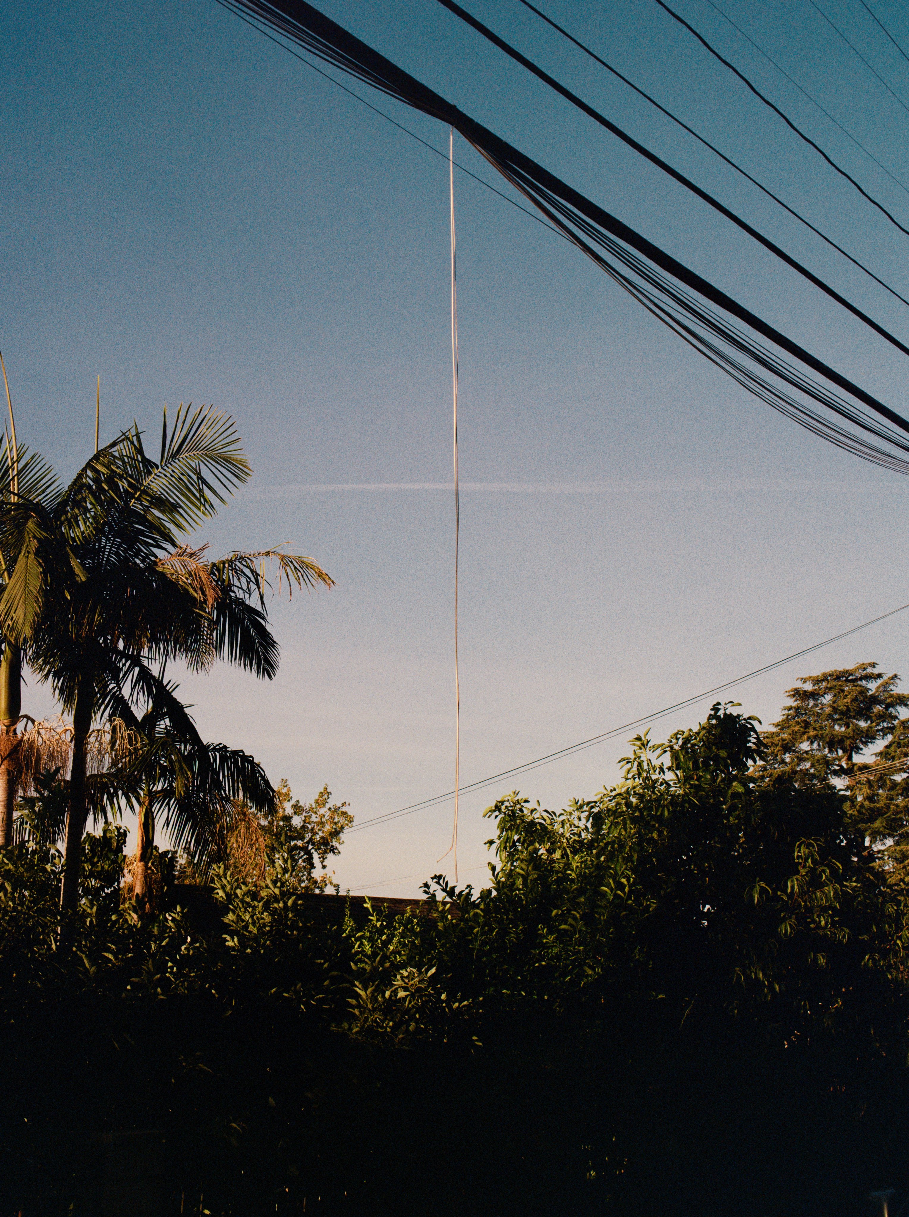 Jun Ishibashi / 石橋純 (@jun_artwork_) / X