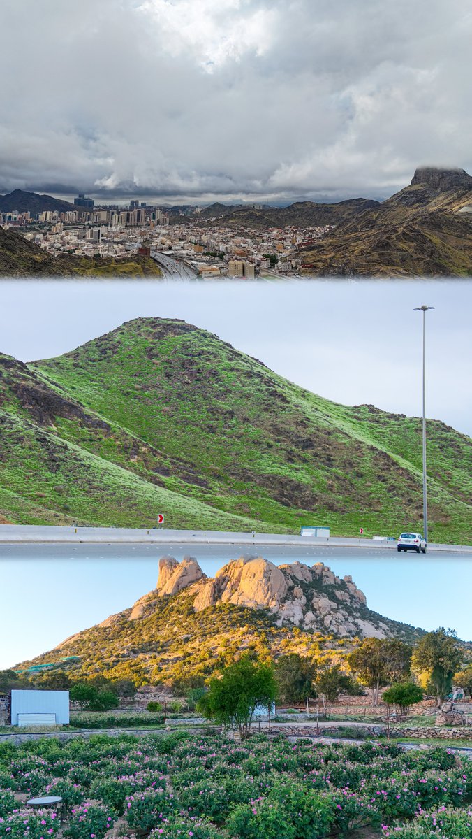 أسعد الناس عيشاً من يشتو في مكة ، ويربّع في جدة ، و يَصيفُ في الطائف 💚

"معاوية بن أبي سفيان رضي الله عنه"