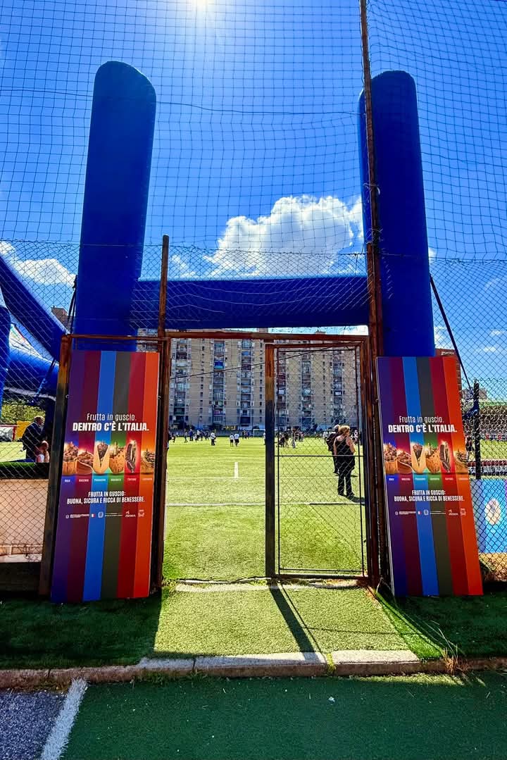 CiroVive's tweet photo. #Scampia #FestaDelRugby 🏉
⬇️⬇️⬇️
https://t.co/1H4Wxdn2kL

https://t.co/Ns1zxBh46y

#CiroVive #festedelrugby #Scampia #CiroViveNelCuoreDiChiLoAma #Rugby #terzotempo #federazioneitalianarugby https://t.co/9UrYdYaluc