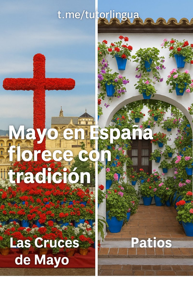 Mayo en España florece con tradición.
Las Cruces de Mayo decoran plazas en Córdoba, Granada, Sevilla, Extremadura y Castilla-La Mancha.
Y en Córdoba, los Patios llenan de flores y vida los hogares.
#CrucesdeMayo #PatiosdeCórdoba #FiestasdeEspaña