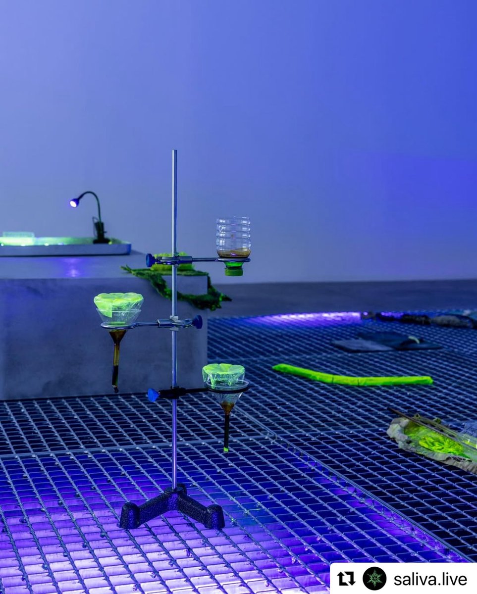 #Repost <a href="/saliva/">wes</a>.live with <a href="/use/">Roslyn K.</a>.repost
・・・
Title: As the Land Falls Apart
Artist: Didem Erbaş
Venue: SANATORIUM saliva.live/exhibitions/41…