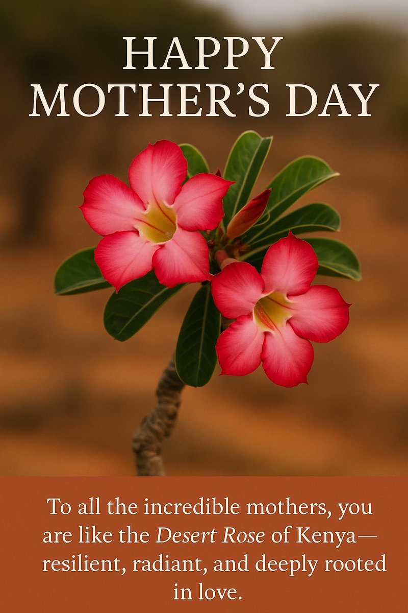 Happy mother's day to all our mothers