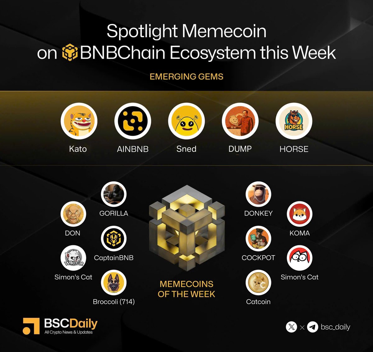 BSCDaily tweet media