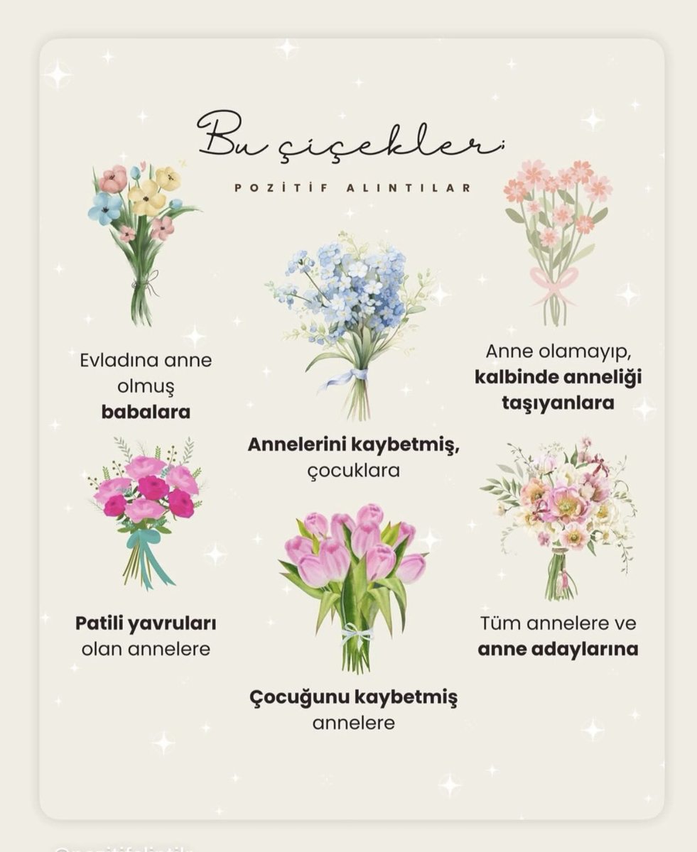 Murat Çetin (@muratcetin27) on Twitter photo 