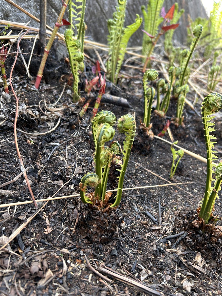 春が終わって行く。。