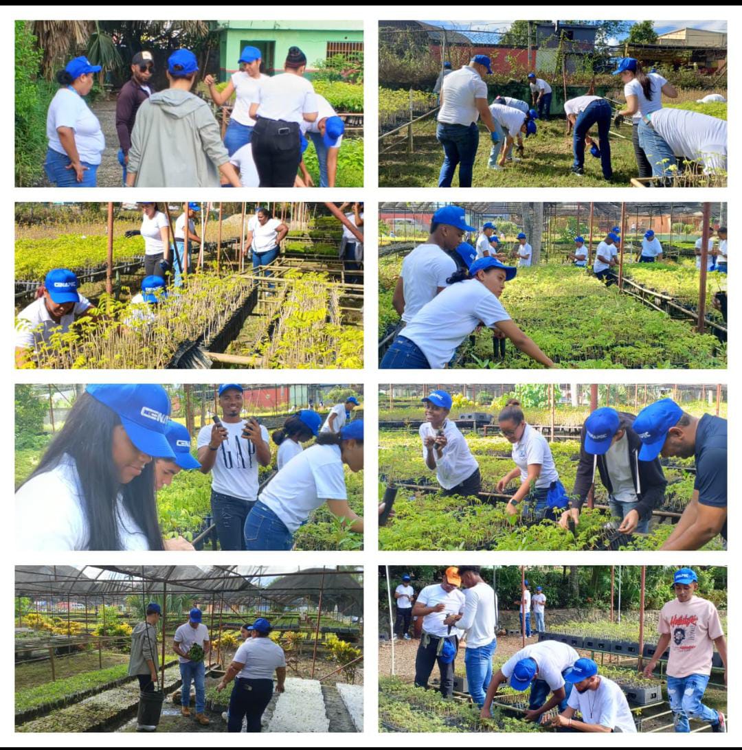 Hoy estamos sembrando árboles Con el colegio Cenaped en el parque ecológico de nigua juntos podemos hacer la diferencia por todos nuestros espacios naturales