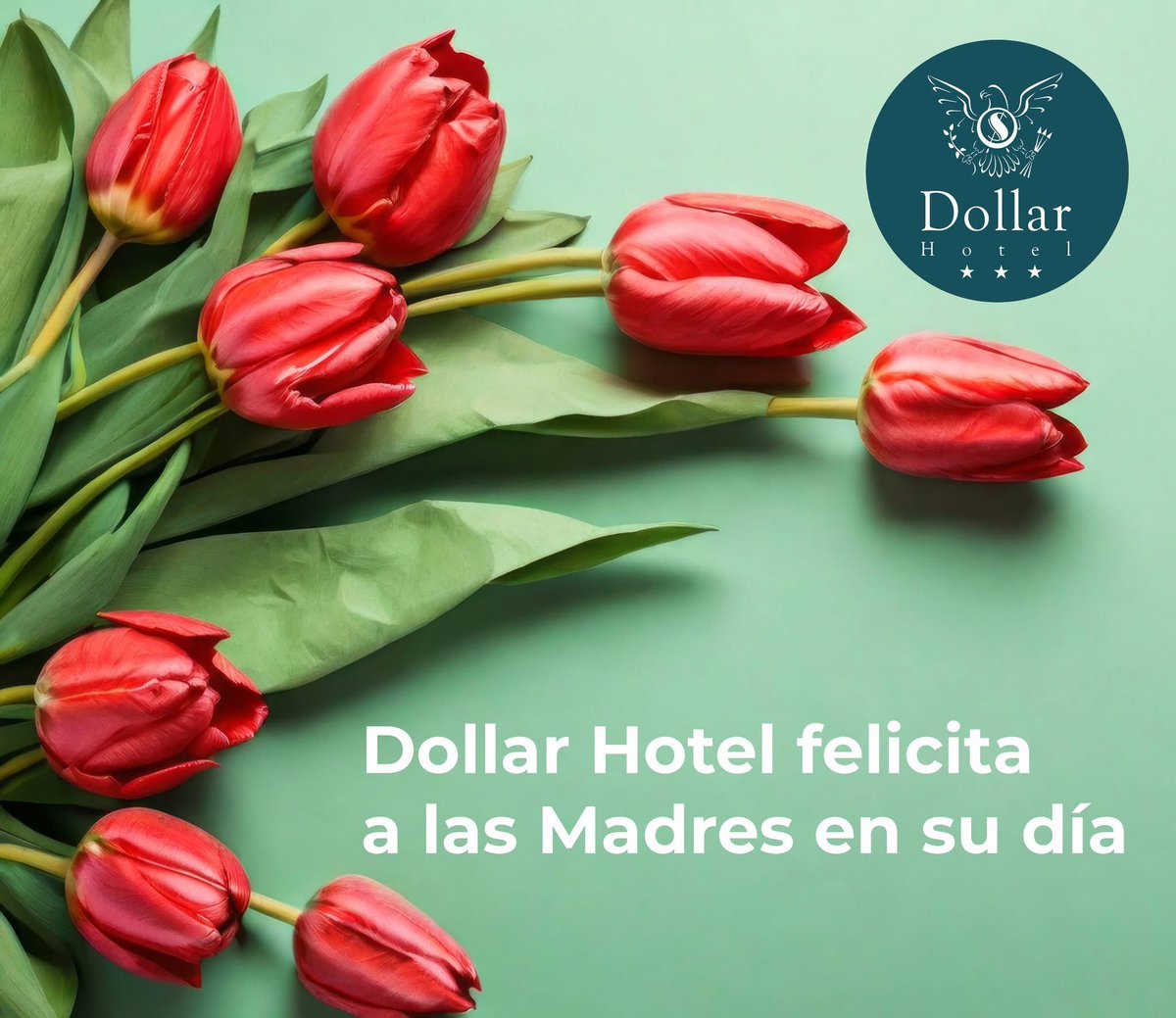 Dollar Hotel Mcy tweet media