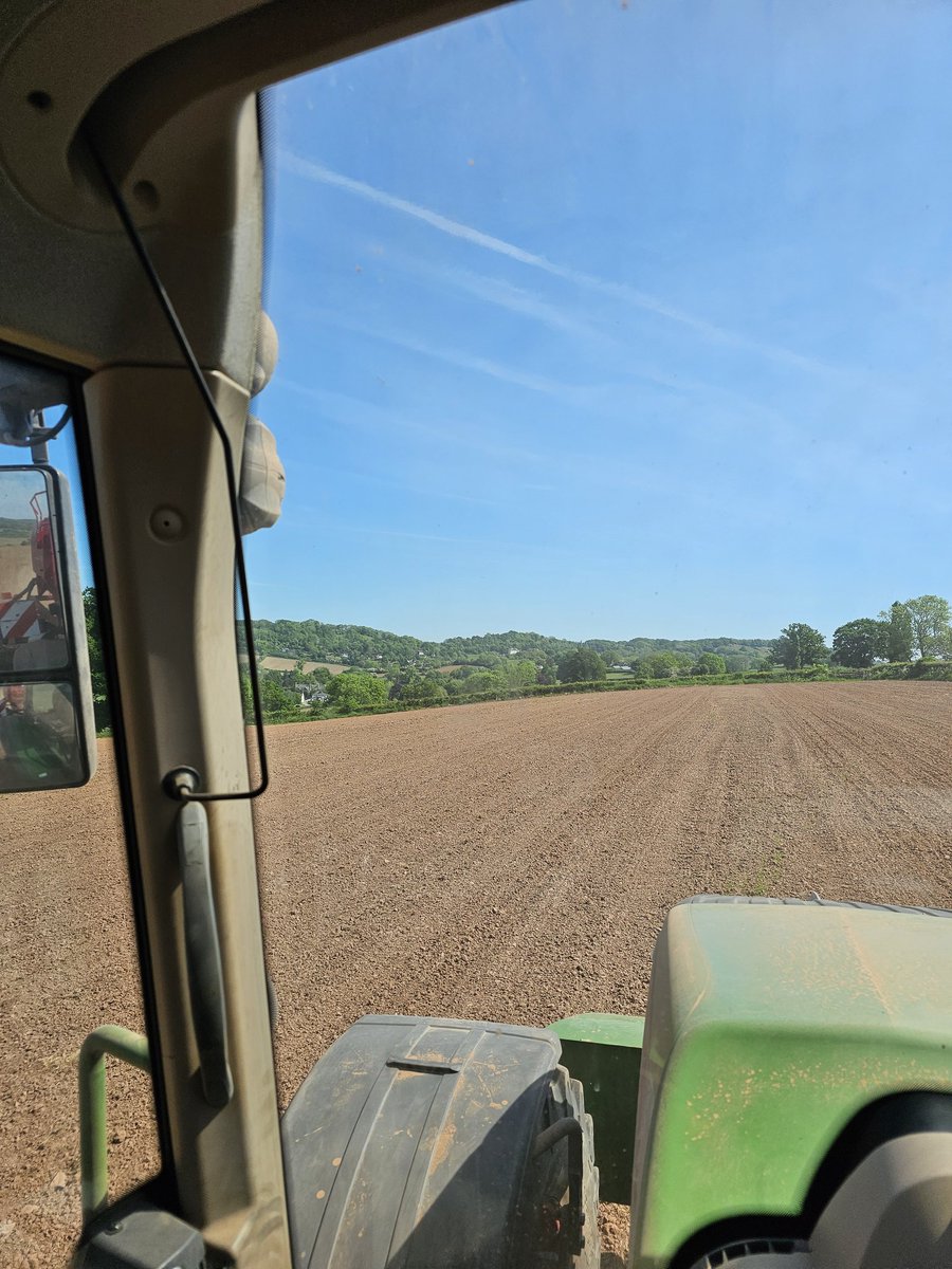 martin williams tweet media