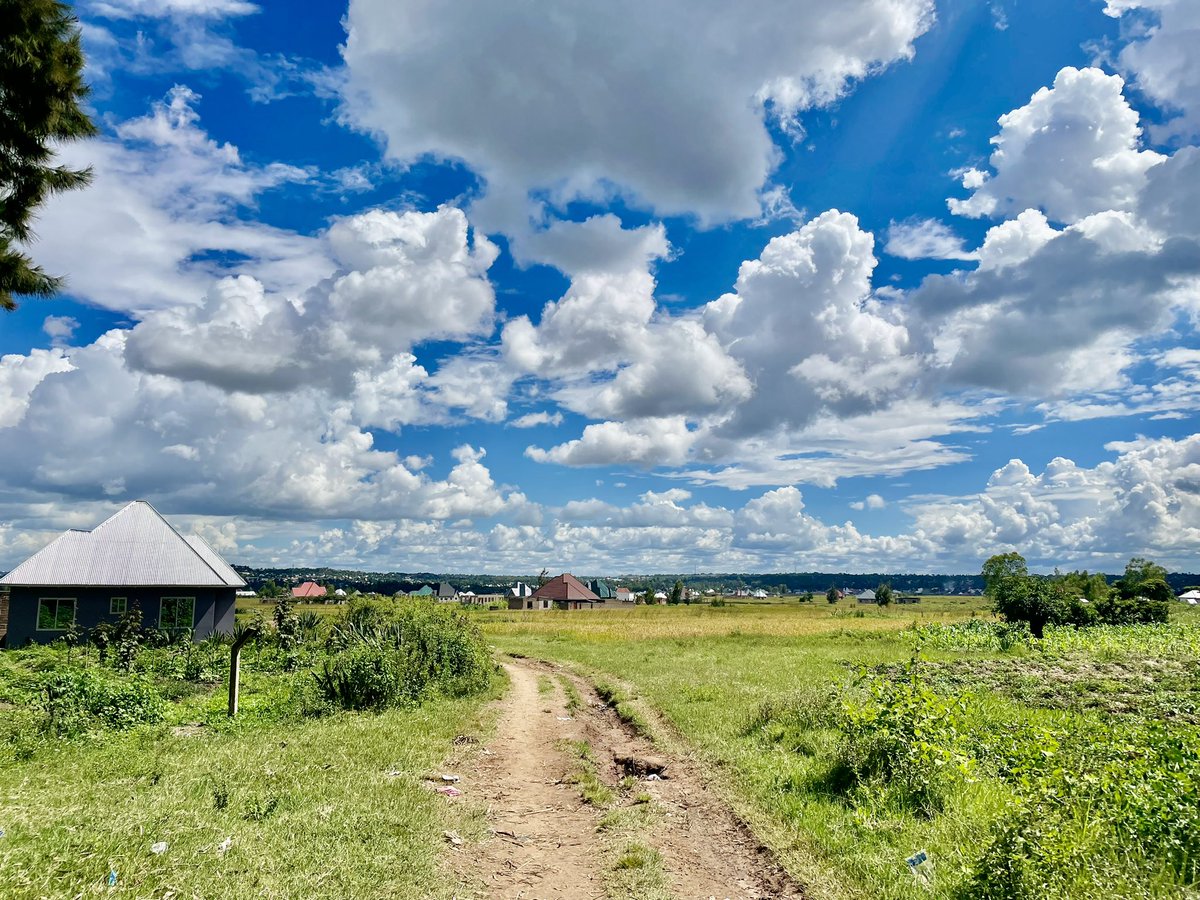 MarekaMalili's tweet photo. Wakubwa kuna hii Plot, ipo Buswelu Nyamadoke.
Ina sqm 1869 🙌🏼
Ina miti aina ya pines na mikaratusi, takribani 80, mikubwa.
Eneo lipo short cut ya njia inayotokea Igoma eneo linaitwa "Ndama" karibu na Kiwanda cha Cocacola.
Eneo lipo karibu na njia inayokwenda stendi ya Nyamhongolo https://t.co/uHB8BLa9uv