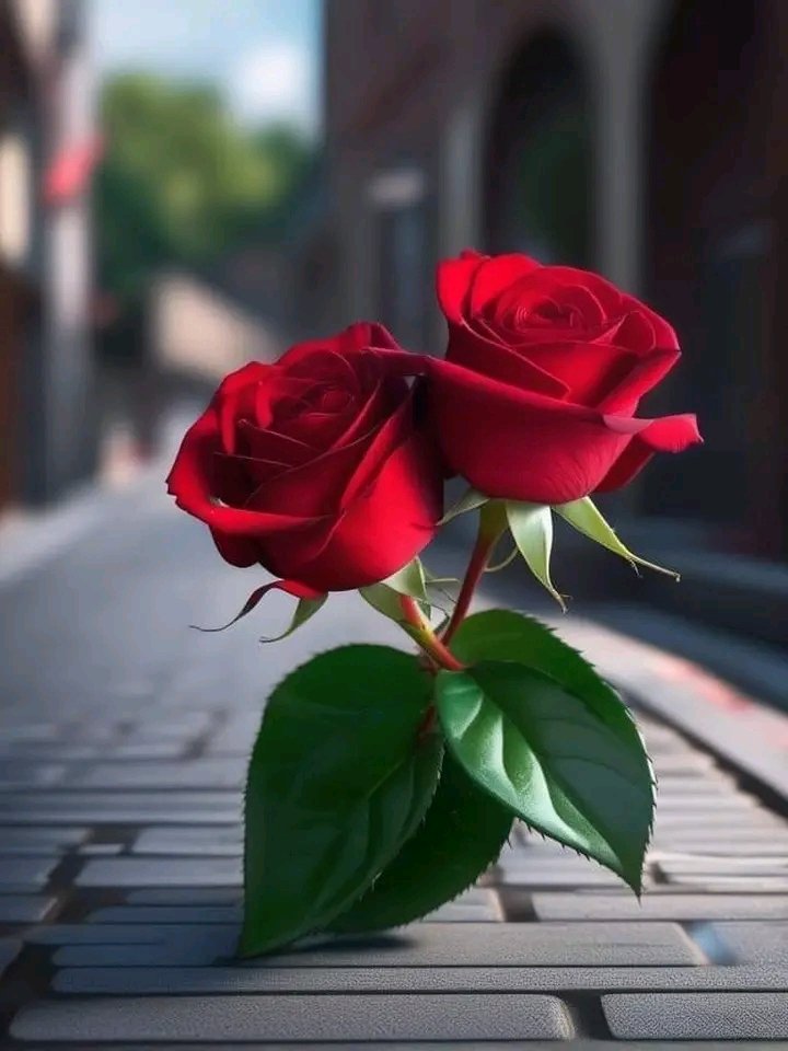 🌹| #Cuba celebra hoy el Día de las Madres.

¡Feliz día a todas las madres cubanas, guerreras incansables, heroínas del día a día, especialmente las del <a href="/SNTAP3/">SNTAP</a>! 💌🇨🇺