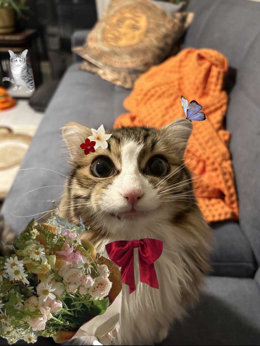 aneler gününüs kutnu ossunnnn bu çiçenk bemden hepinise 💐💐💐💐💐