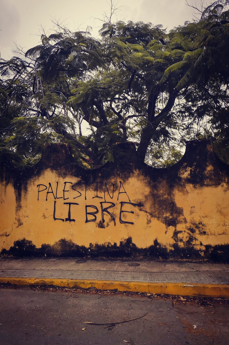 madela💥 tweet media