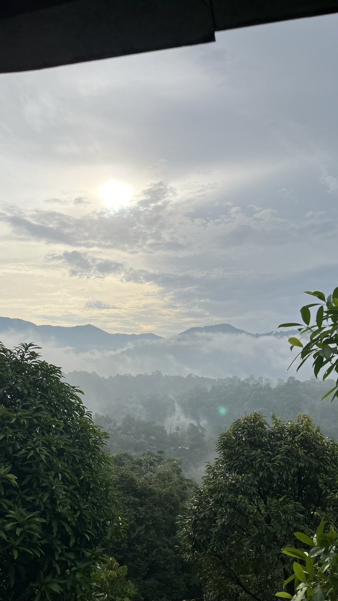 Naaab_'s tweet photo. Bukit Pau ✨ https://t.co/2Ii07hzzeB