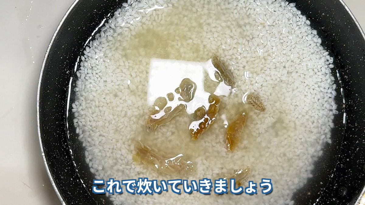 YouTube】魚の口の中に鎮座ましますキモカワ寄生虫ウオノエ。宇宙人的 YouTube】魚の口の中に鎮座ましますキモカワ寄生虫ウオノエ。宇宙人的