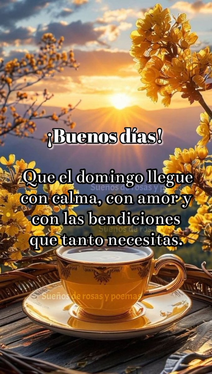 🩵🤎 𝕃𝕒 ℂ𝕙Á𝕧𝔼𝕫 🩵🤎 tweet media