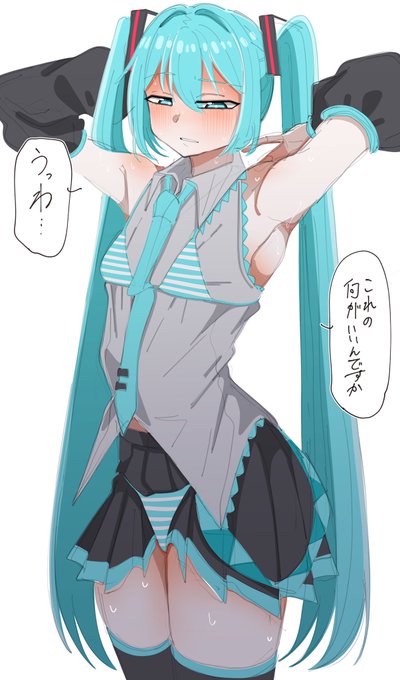 着衣ビキニミクさん 