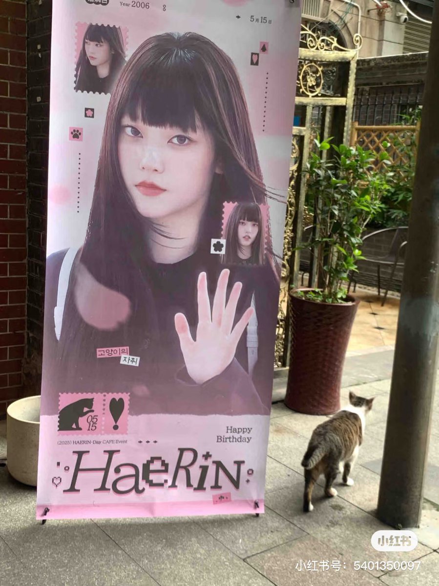 ᴬᶜᵀᴵᵛᴵᵀᵞ ᵛᴱᴺᵁᴱ ②
The kitten is here 🐈🐾

#고양이의흔적
#Haerin #해린 #NJZ