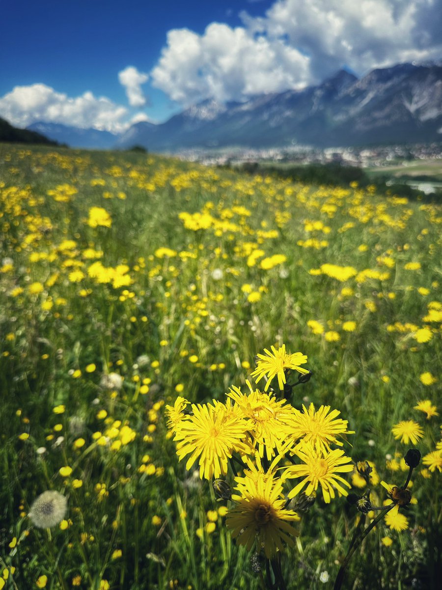 HaraldHolzhamm1's tweet photo. ..gravelrunde hasental..#keeponrolling #cube #paradise #shotoniphone https://t.co/Bh1RoKcuIW
