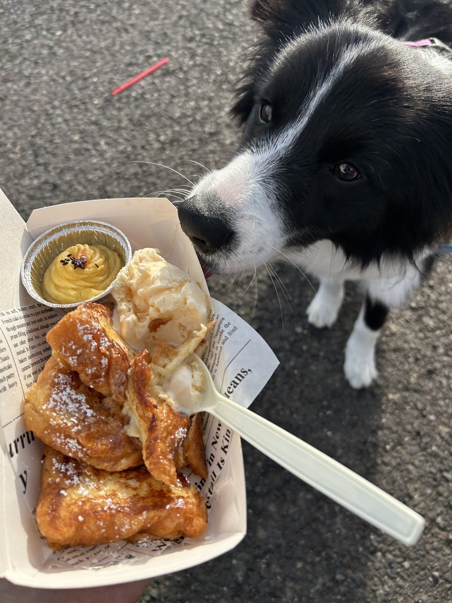 器に鼻付けてヨシッて言って欲しい犬