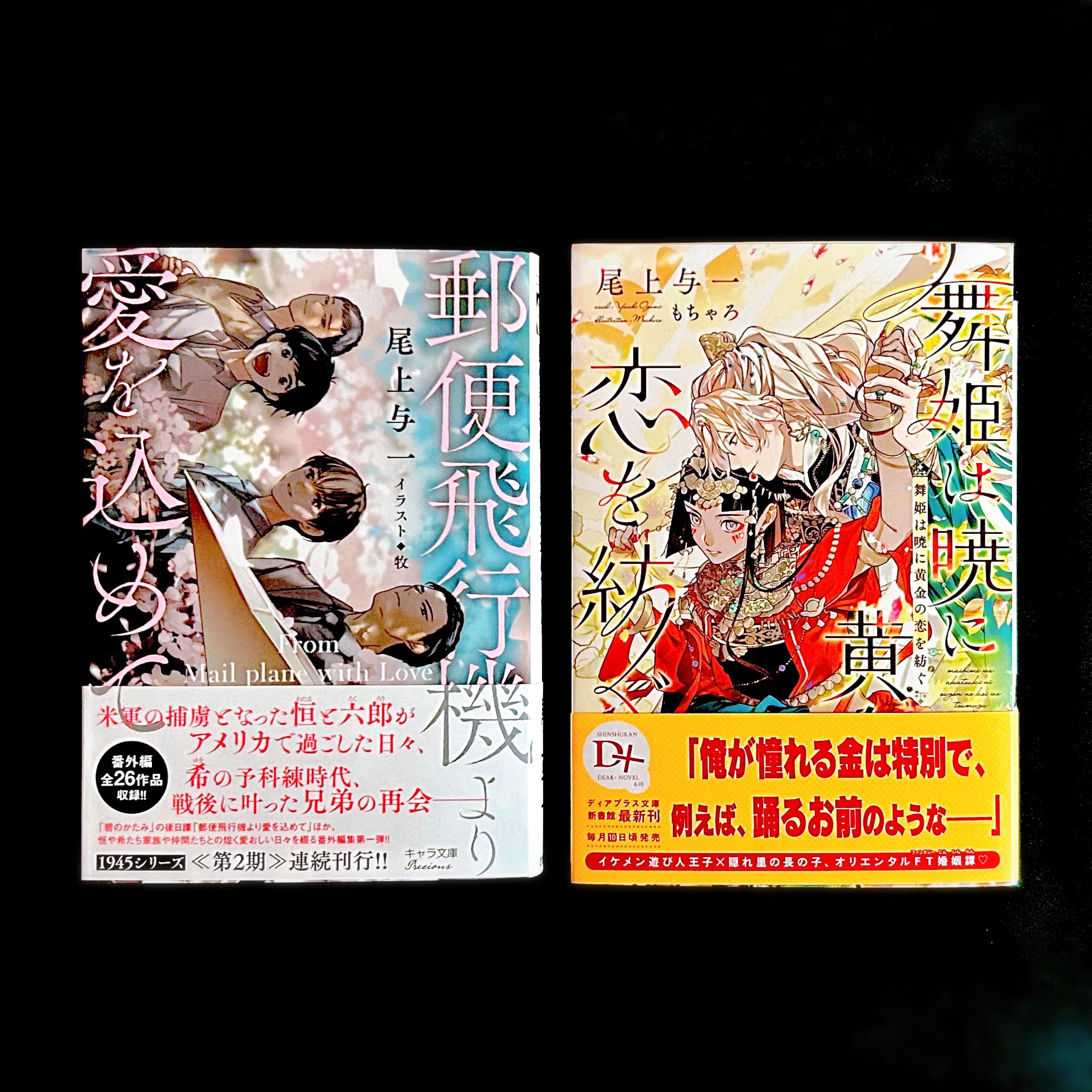 Amazon.co.jp: 郵便飛行機より愛を込めて (Holly NOVELS) : 尾上