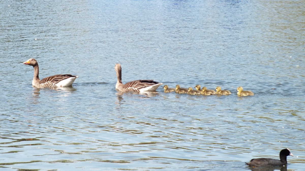 airspeed 🇬🇧 🇺🇦 tweet media